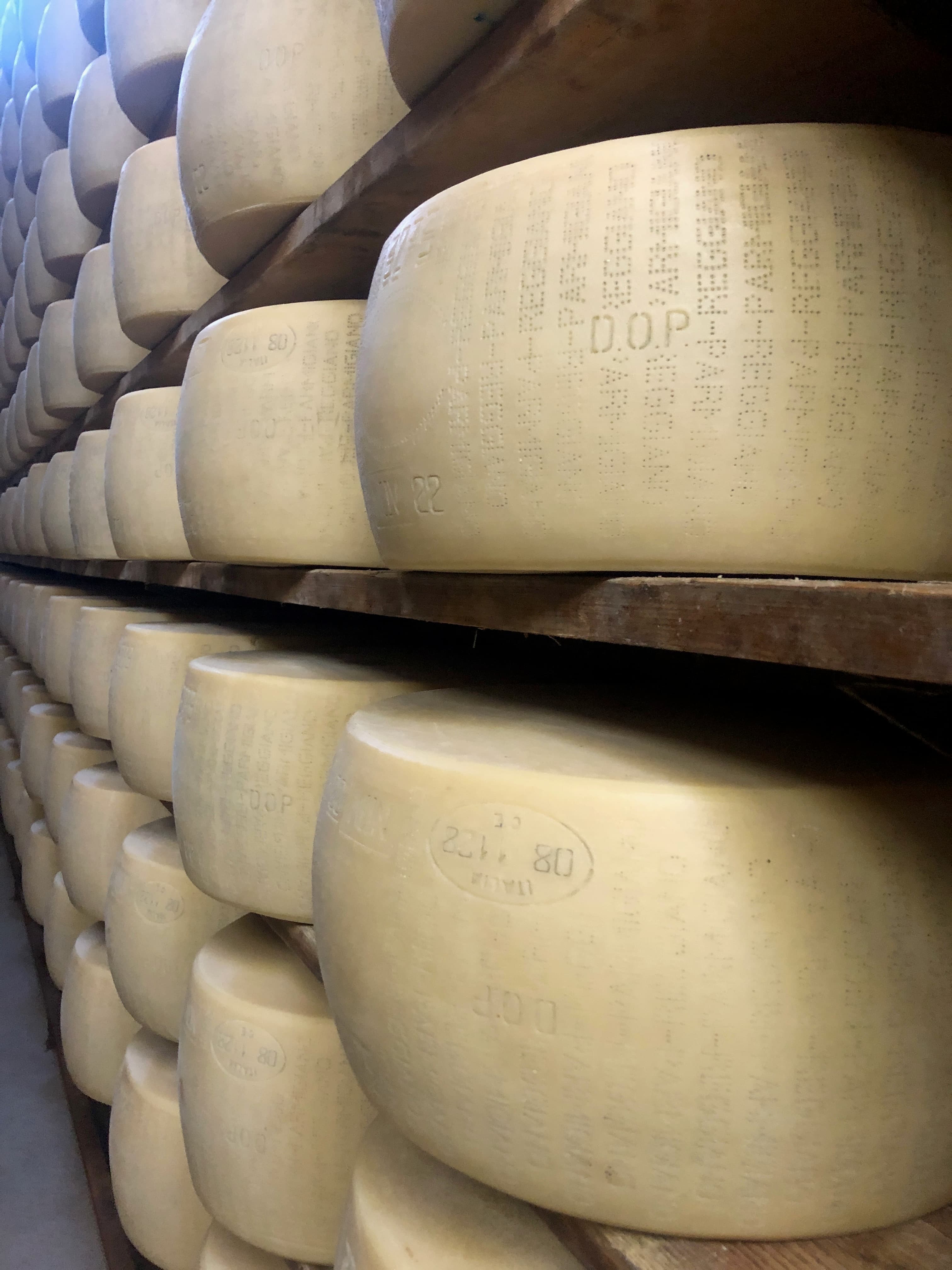 Comté 18 mois